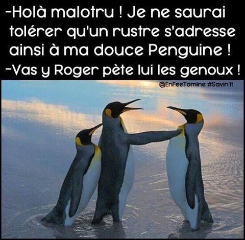 
               Meilleures image drole  gentleman ......... 
              