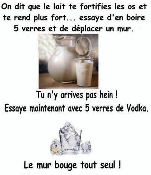  Image rigolote  Lait VS Vodka 
              