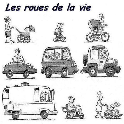 
               Meilleures images droles  Les roues de la vie 
              