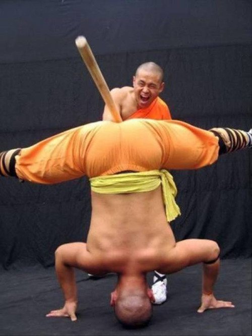 
               Meilleures image drole  casse noisettes 
              