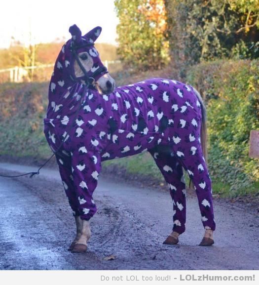 
               Meilleures image drole  Pyjama mi-saison 
              