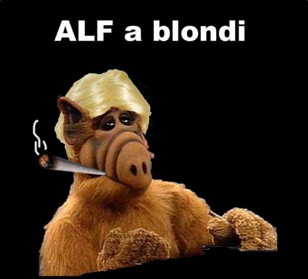 
               Meilleure image drole  Sandey Koné 
              
