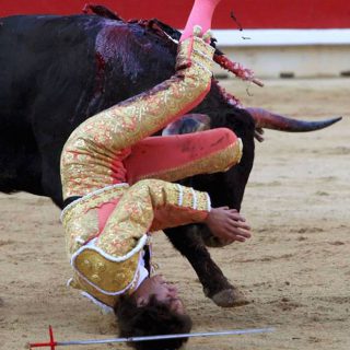 
               Meilleures images droles  Il faut être tombé sur la tête pour faire ça ! 
              