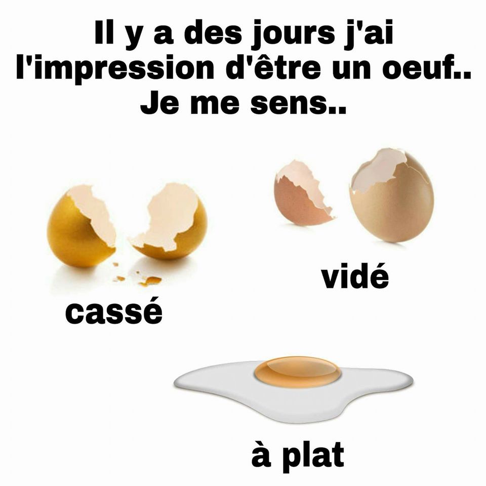 
               Meilleures image drole  Plus plat que ça tu meures!!! 
              