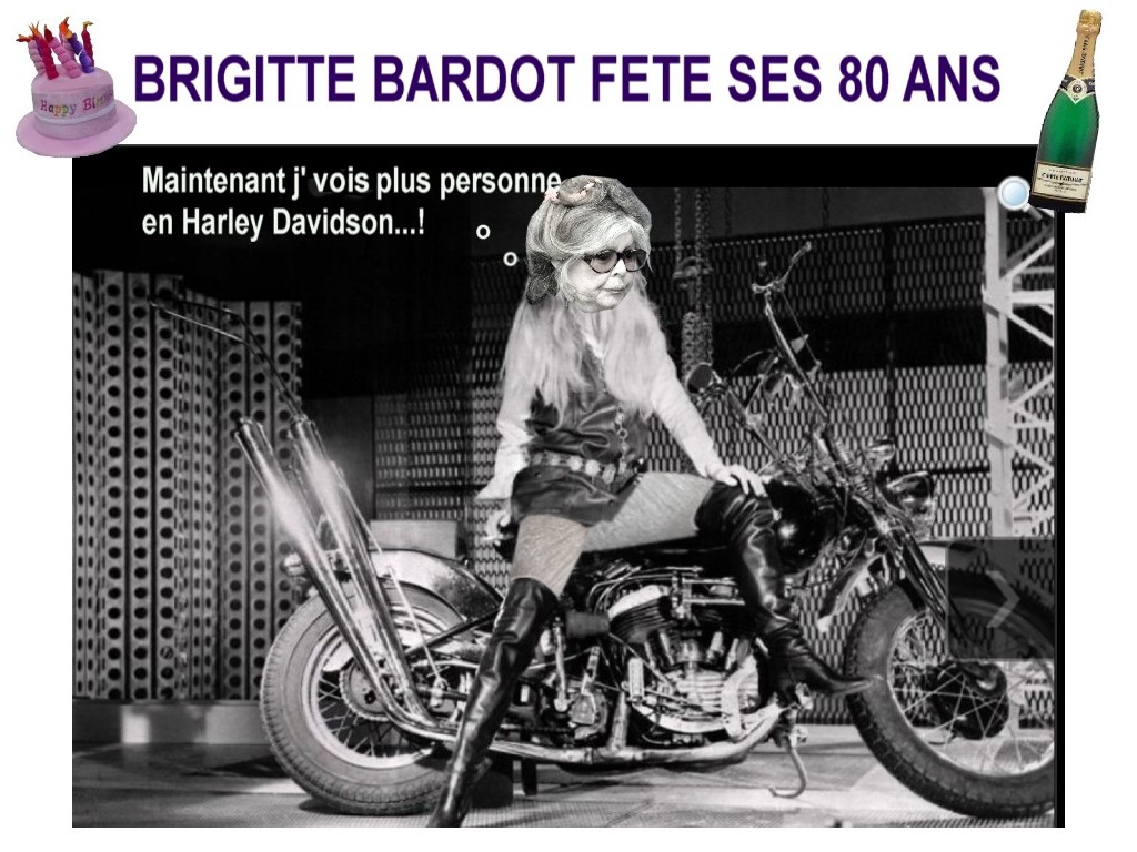 
               Meilleures image drole  HAPPY BIRTHDAY ! 
              