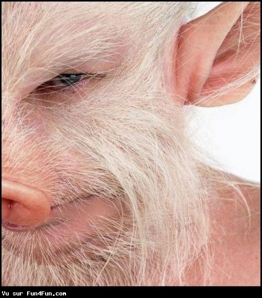  Image marrante  l'homme est un cochon , photo blague
              