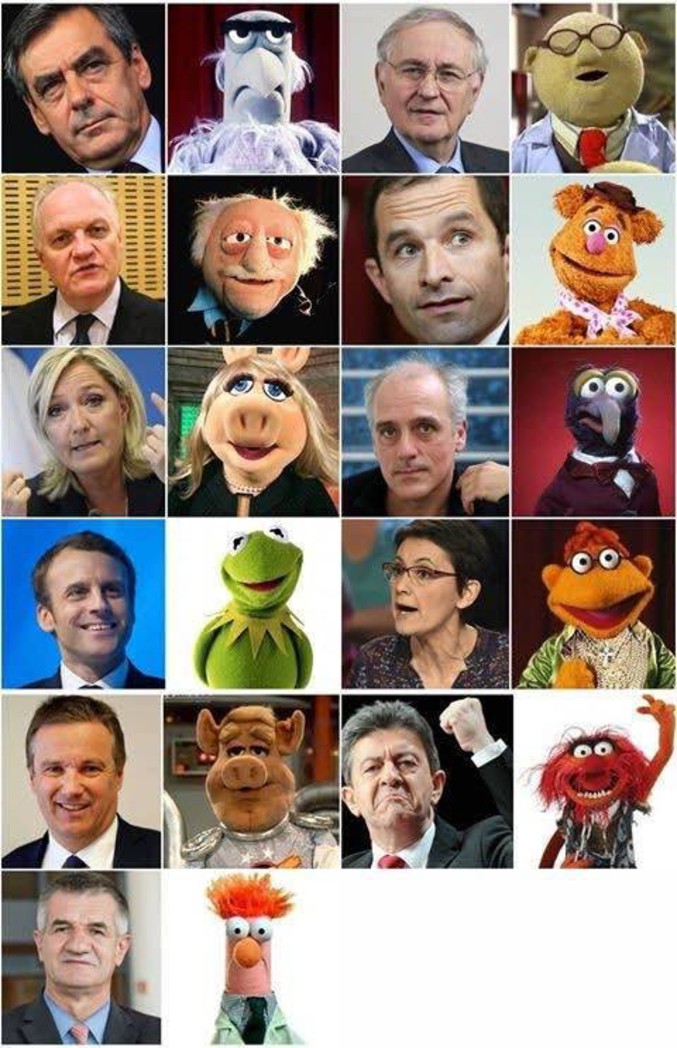  Image cocasse  les MUPPETS , photo blague
              