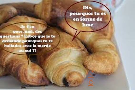 
               Meilleure photo blague  L'ami du petit déjeuner. 
              