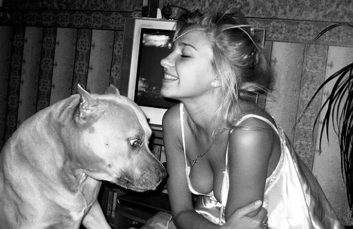  Image curieuse  chien coquin 
              