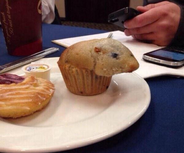  Image rigolote  muffin , photo blague
              