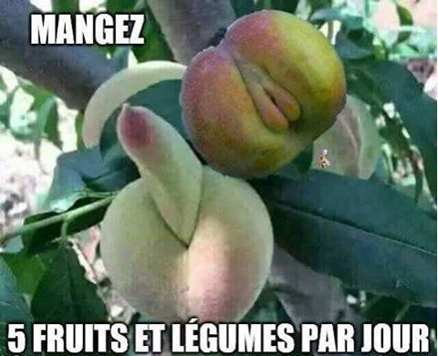 
               Meilleures image drole  fruits à noyau, le meilleur moyen de ne pas avoir
              