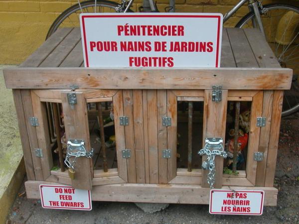 
               Meilleures images drôles  Prison break 
              