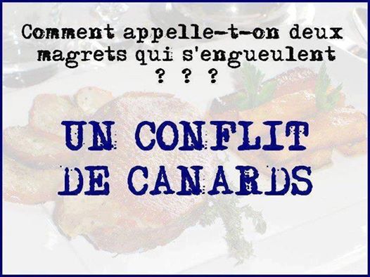 
               Meilleures image drole  C'est l'époque du foie gras! 
              