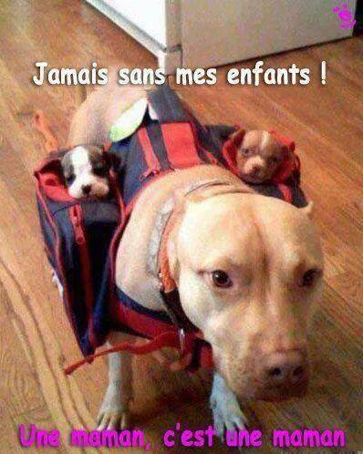 
                c'est parti pour un tour 
              