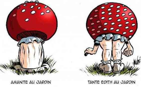 
               Meilleures image drole  Le champignon n'a pas de sexe, l'inverse n'est pas toujours vrai... 
              