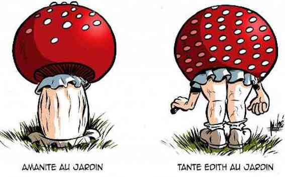  Image curieuse  Le champignon n'a pas de sexe, l'inverse n'est pas toujours vrai... 
              