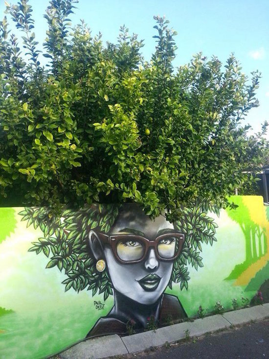 
               Meilleure photo blague  coiffure 1 
              