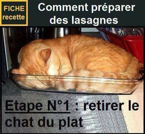 
               Meilleures images droles  Préparation de lasagnes 
              