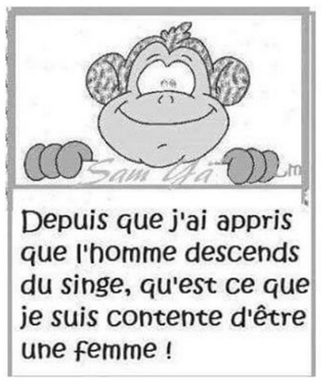 
               Meilleures images drôles  ca n'empêche qu'en tant qu'homme je me sens bien 
              