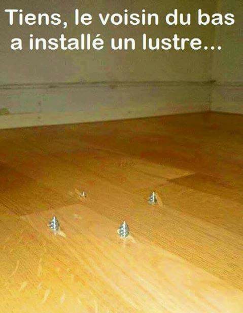 
                un très bon bricoleur du dimanche 
              