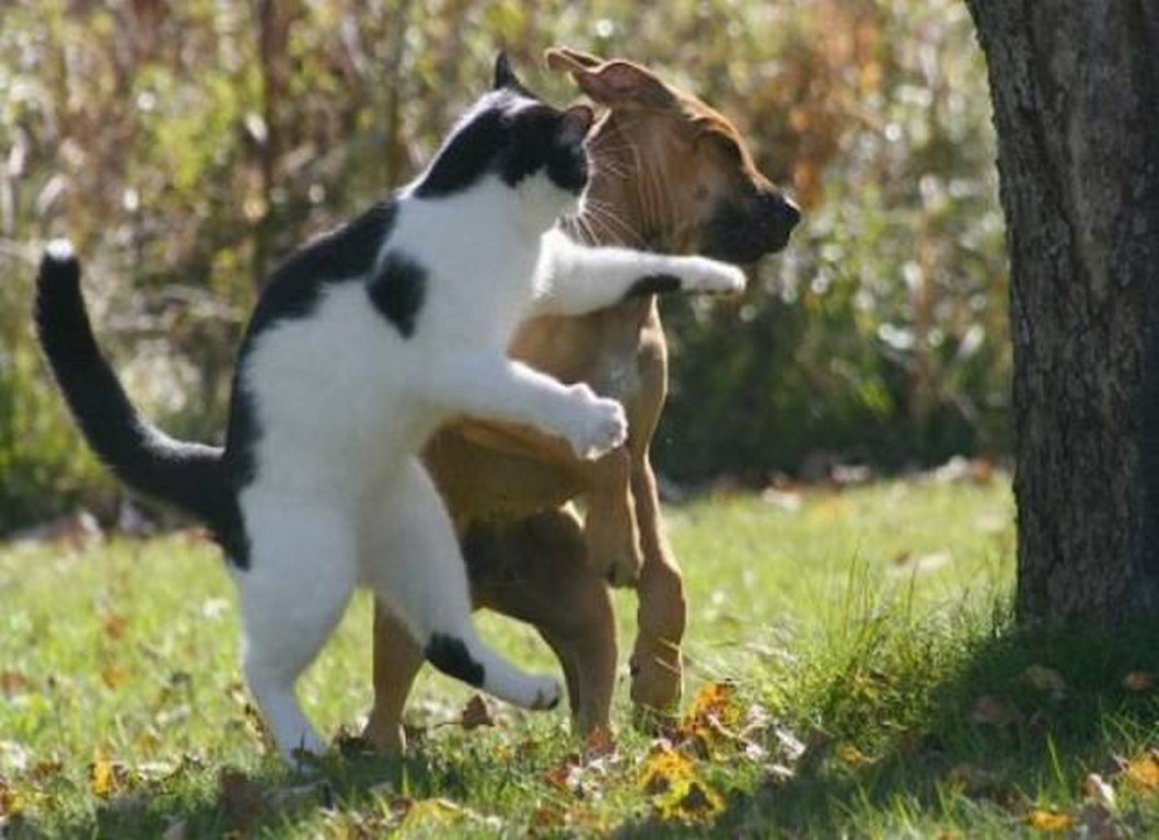
               Meilleure photo blague  Tiens, prends ça ! 
              