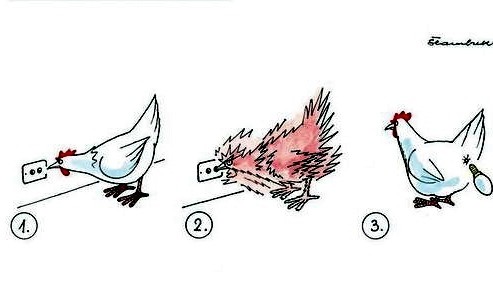
               Meilleures images droles  L'œuf ou lampoule ? 
              