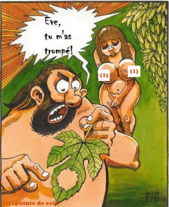 
               Meilleure image drole  Le mystère de la génération spontanée est levé 
              