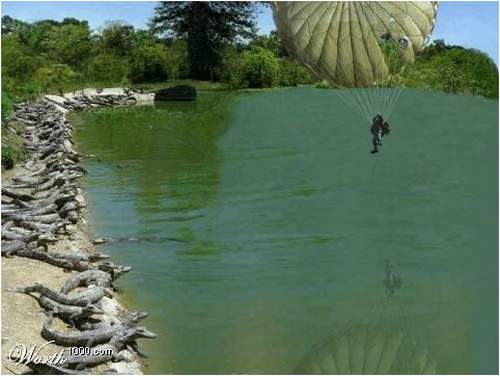  Image originale  Plonger dans l'eau , photo blague
              