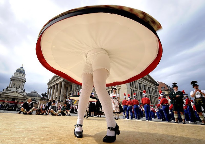 
               Meilleure image drole  champignon hallucinogène 
              