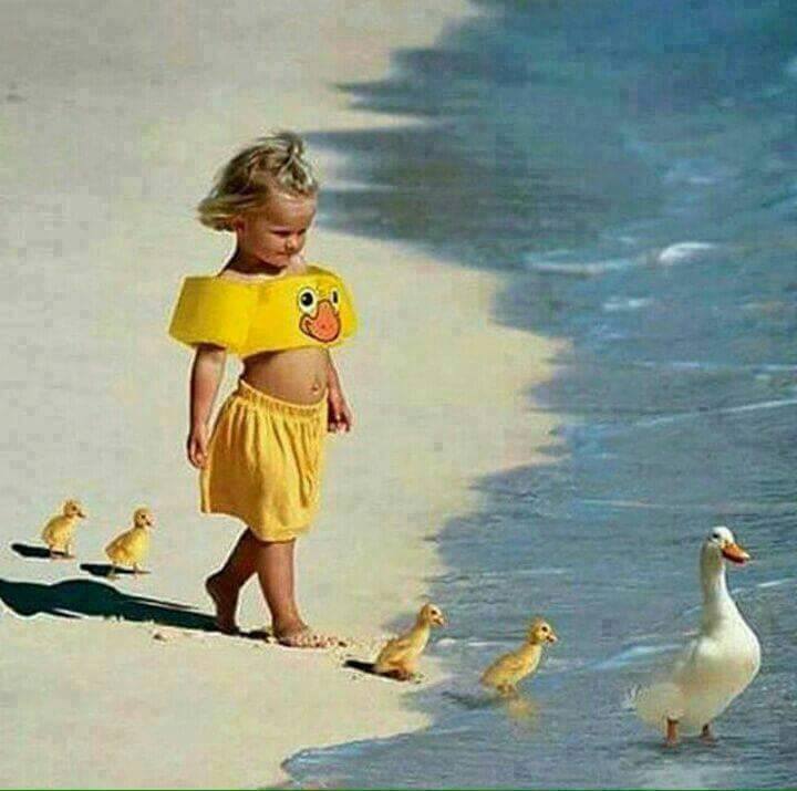  Image originale  on se prépare pour la danse des canards , photo blague
              