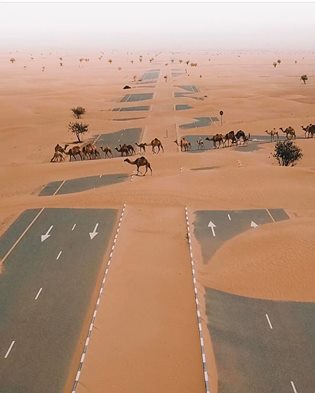  Image rigolote  Autoroute Pour Méhariste 
              