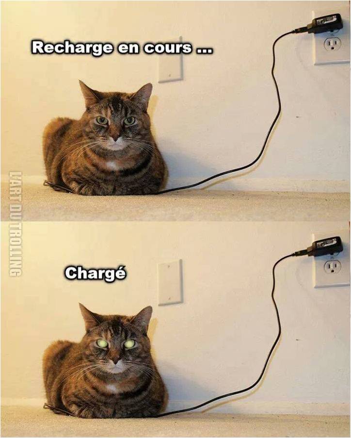 
               Meilleure image drole  Chargé à bloc 
              