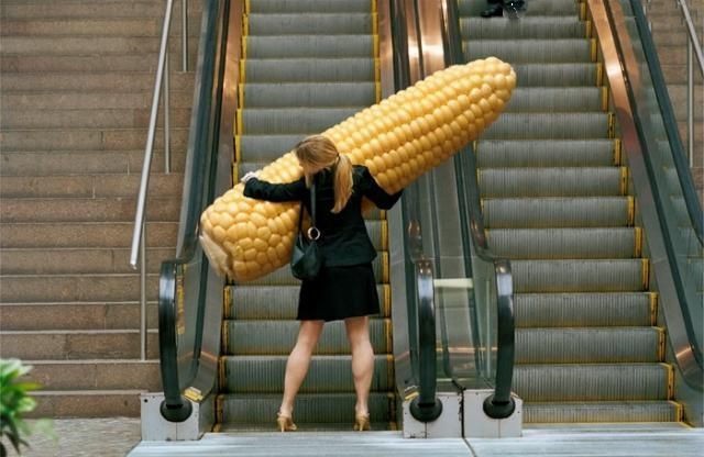 
               Meilleures images droles  Gros appétit 
              