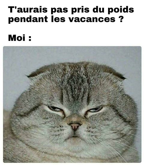 
               Meilleures image drole  Il me semble que tes vacances t'ont bien profité 
              