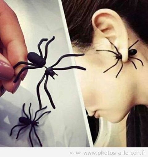 
               Meilleure photo blague  A pas peur des araignée elle ! 
              