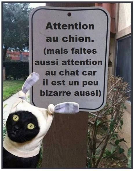 
               Meilleures images droles Faites très attention 
              