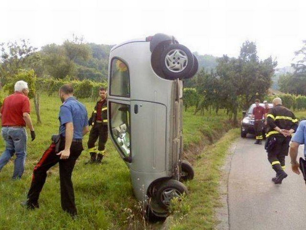 
               Meilleures images droles  Une gâterie qui tourne mal ? 
              