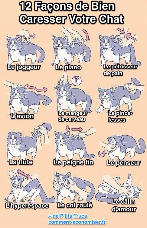 
               Meilleures image drole  moi c'est toujours dans le sens du poil 
              