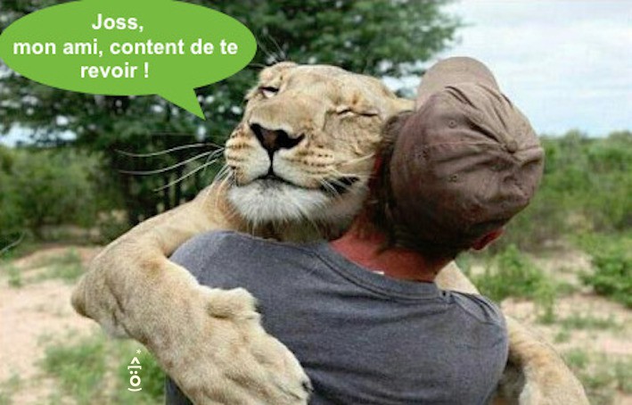  Image comique  Les retrouvailles. , photo blague
              