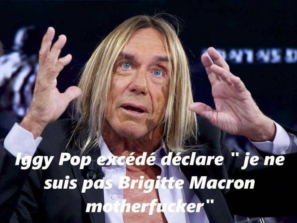  Image drôle  Iggy Macron 
              