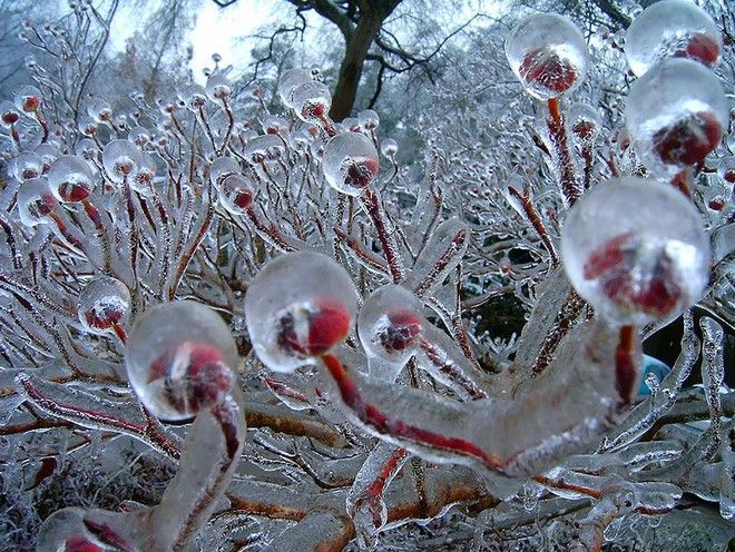  Image curieuse  L'hiver arrive; Sortez couverts ! 
              