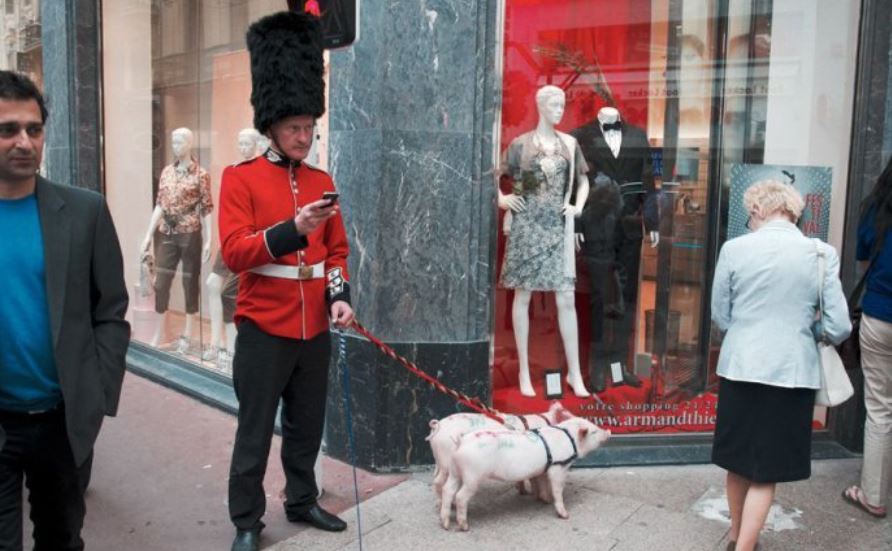  Image hilarante  Garde de la Reine d'Angleterre , photo blague
              