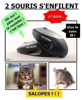  Image plaisante  des souris qui font parler , photo blague
              
