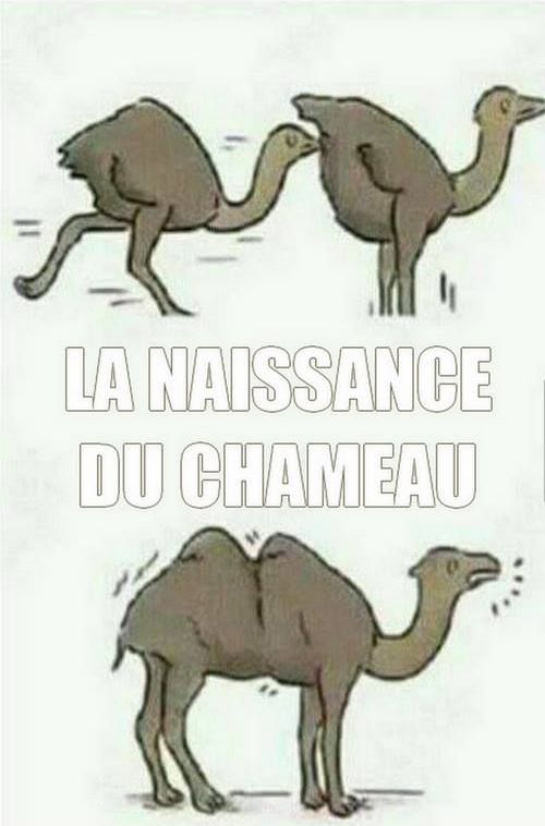 
               Image drole  Au début y'avait rien 
              