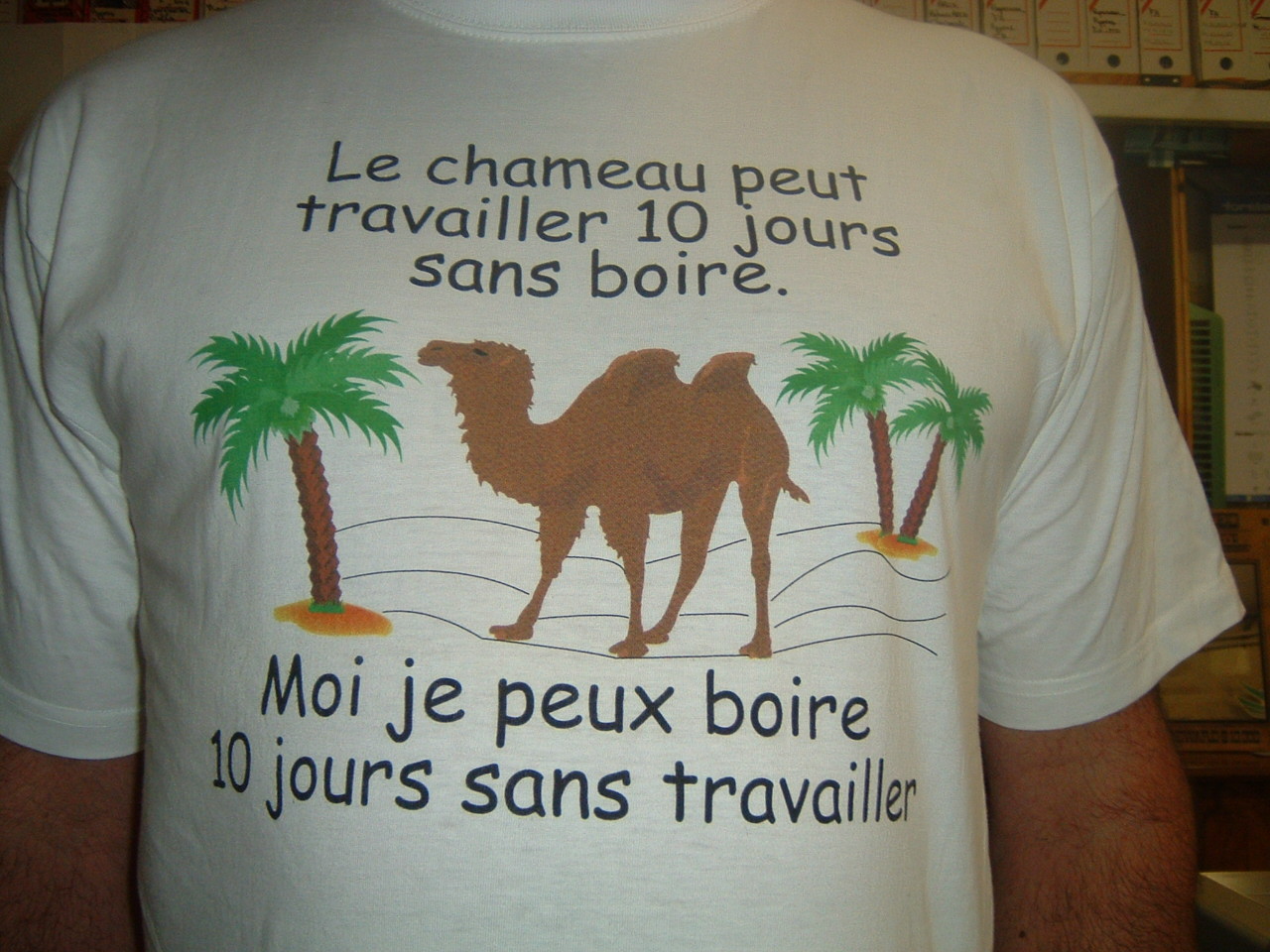 
               Meilleures image drole  On ne boit pas 
              
