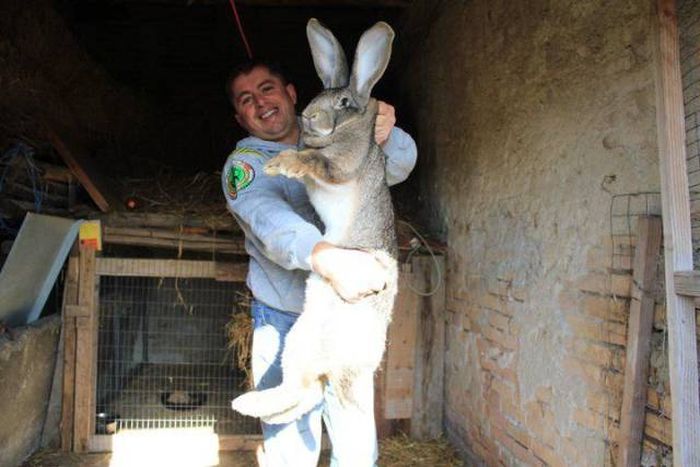  Image originale  mon gros lapin .......... , photo blague
              