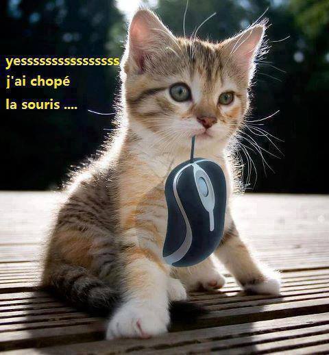 
               Meilleures image drole  Un bon entraînement 
              