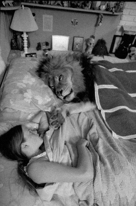  Image comique  Un lion dans ses draps 
              