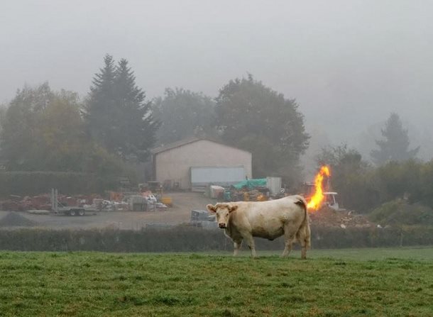  Image rigolote  elle pète le feu , photo blague
              