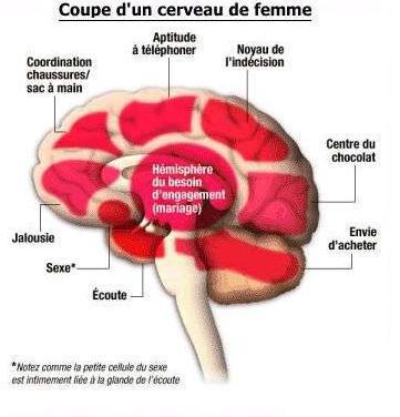 
               Meilleures image drole  ON SAVAIT 
              